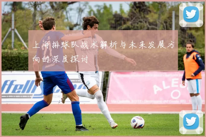 上海排球队战术解析与未来发展方向的深度探讨