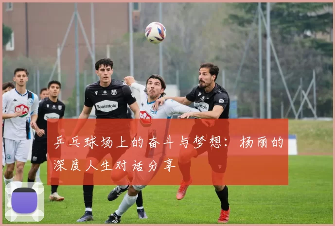 乒乓球场上的奋斗与梦想：杨丽的深度人生对话分享