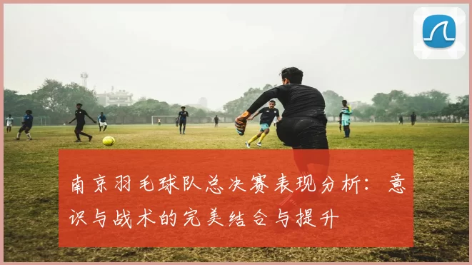 南京羽毛球队总决赛表现分析：意识与战术的完美结合与提升